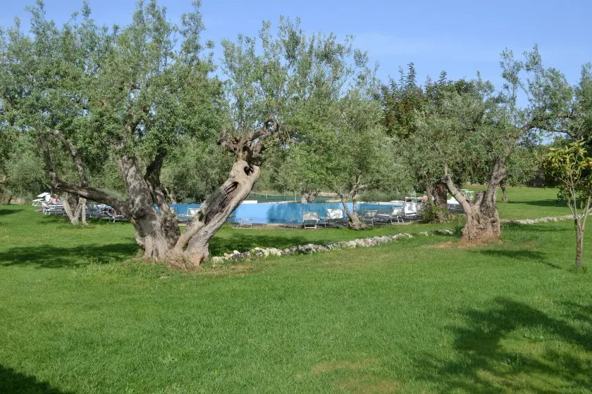Masseria Degli Ulivi - Noto - Image 1
