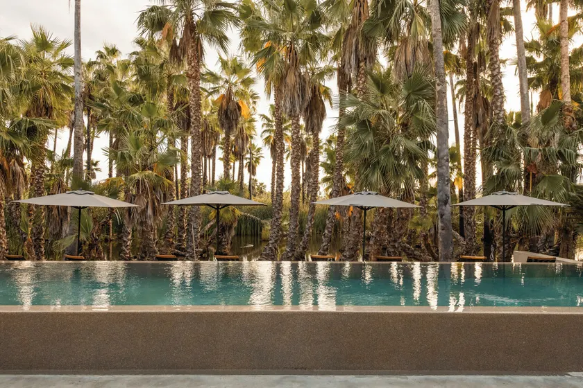 NEST Los Cabos - Image 1