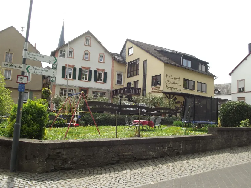 Weingut & Gästehaus Kaufmann-Schneider - Image 1