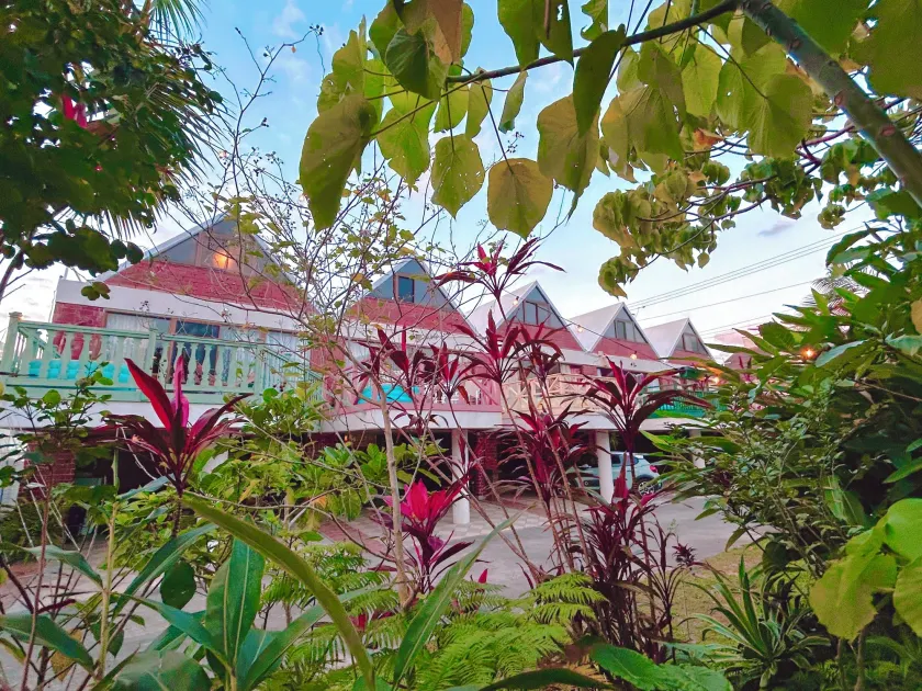 猫とピアノと星空のリゾートブティックコテージ -Starry Forest Cottage Okinawa- - Image 1