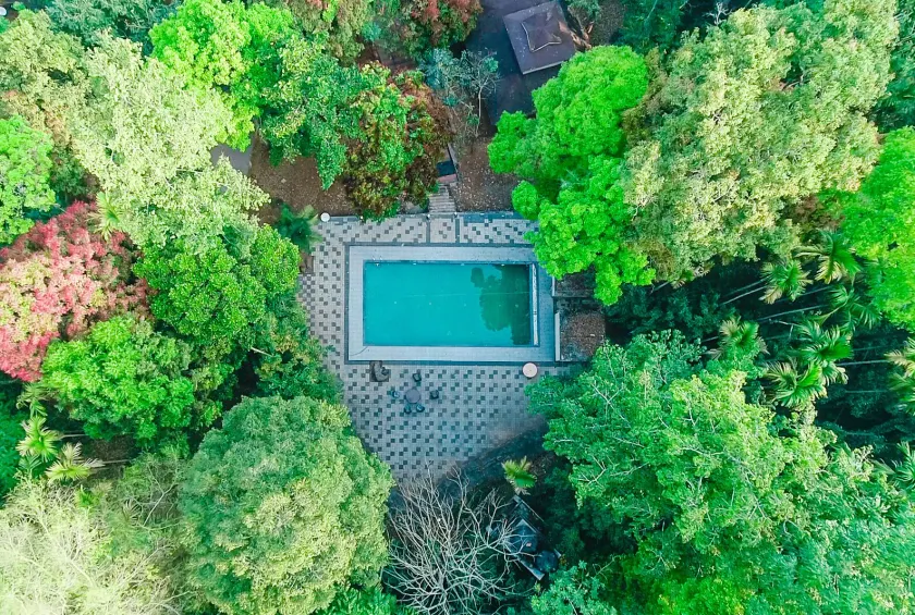 Vythiri Wild Forest Resort - Image 1