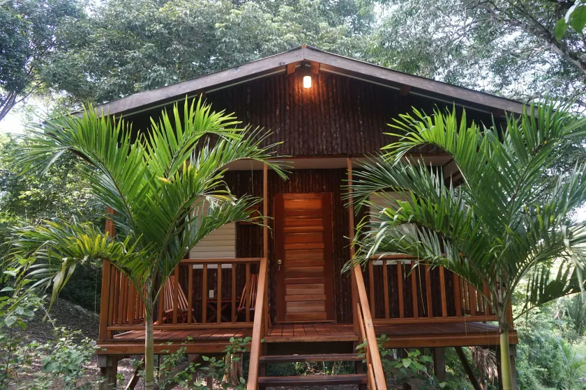 Mariposa Jungle Lodge - Image 1