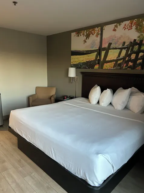 Park Inn - Image 1