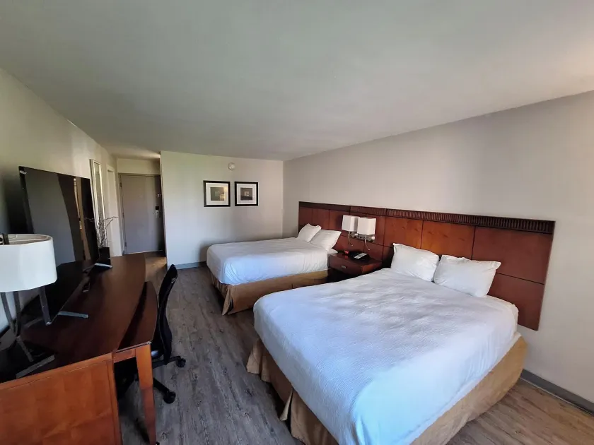 The Hotel Orange - Image 1