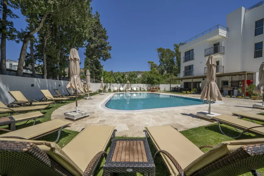 Olive Tree Hotel - Image 1
