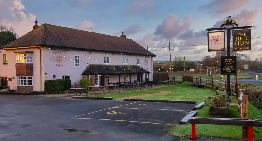 The Red Lion - Image 1