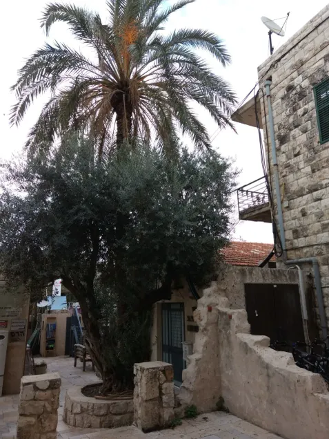 German Colony Guest House - Image 1