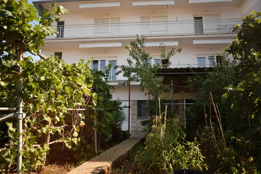Apartments Milica - Image 1
