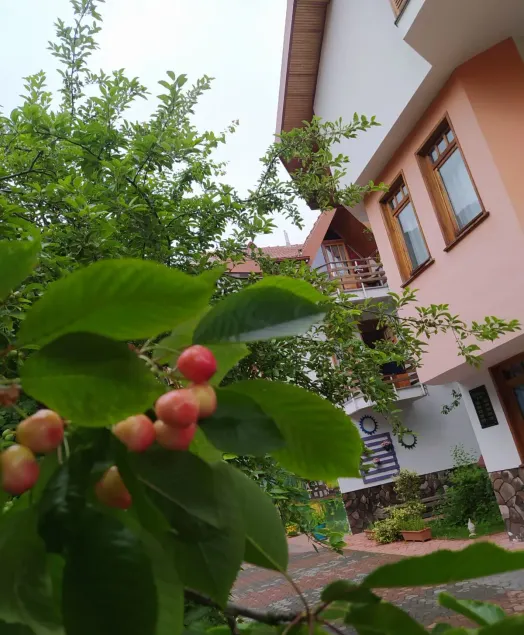 Bolu Yildiz Hotel - Image 1