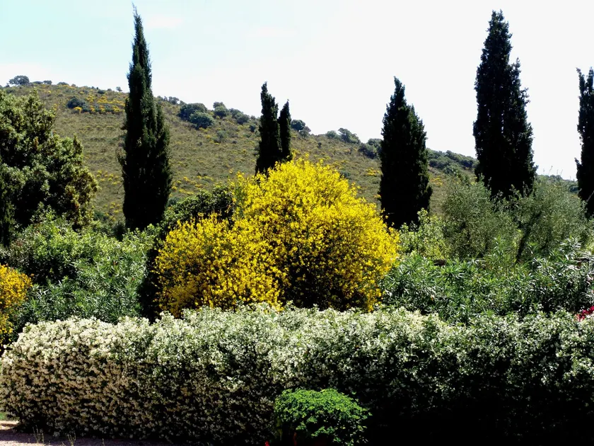 Agriturismo Fattoria Il Casalone - Image 1