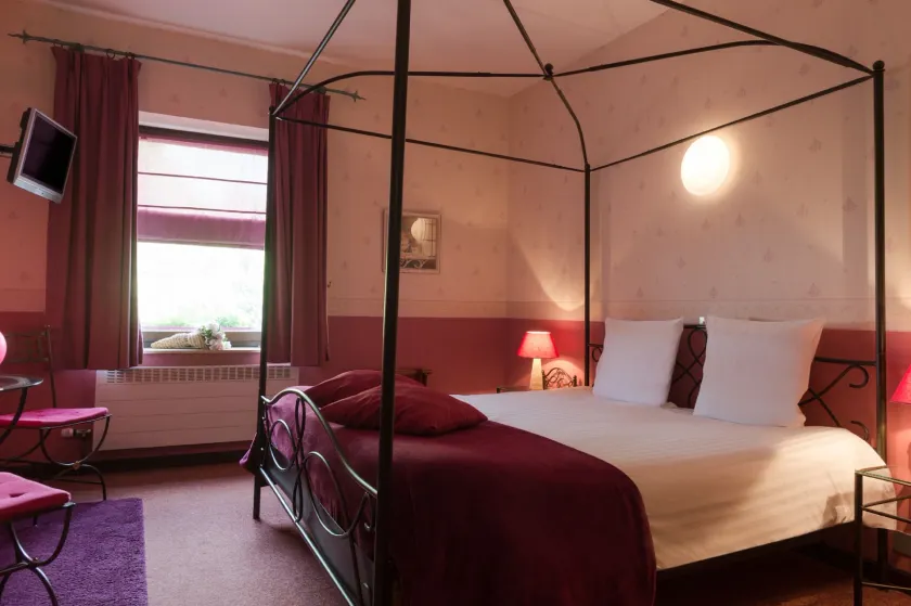 Hostellerie Sainte-Cécile - Chambre