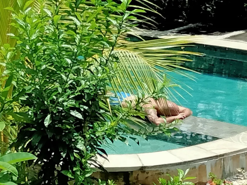 Pier26 Bali Homestay - Image 1
