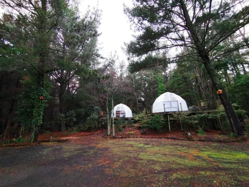 Magma Lodge, Pucon - Image 1