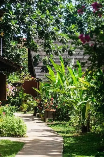 Secret Cabins at Firefly Beach Cottage - Reception