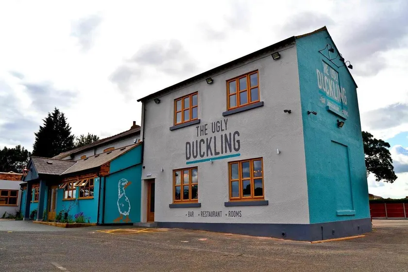 The Ugly Duckling - Image 1
