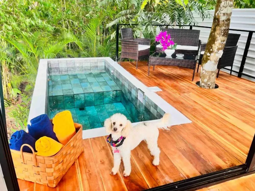 Guest House Pura Vida - Image 1