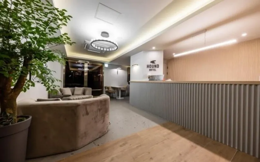 Hound Hotel Songtan - Recepción