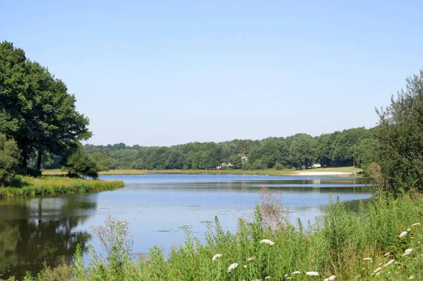 Terres de France - Le Domaine du Moulin Neuf - Image 1