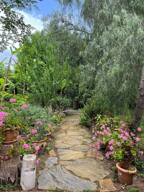Myland Nature - Image 1