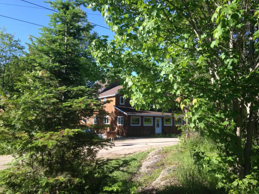 Warbler's Roost Country Inn B&B - Image 1