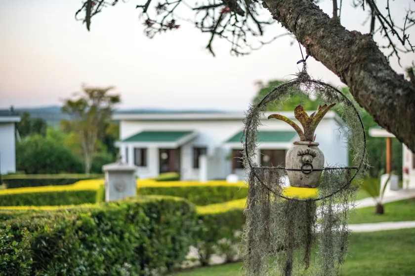 Nut Grove Boutique Hotel - Image 1