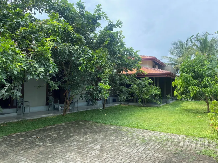 Negombo 146 Homestay - Image 1
