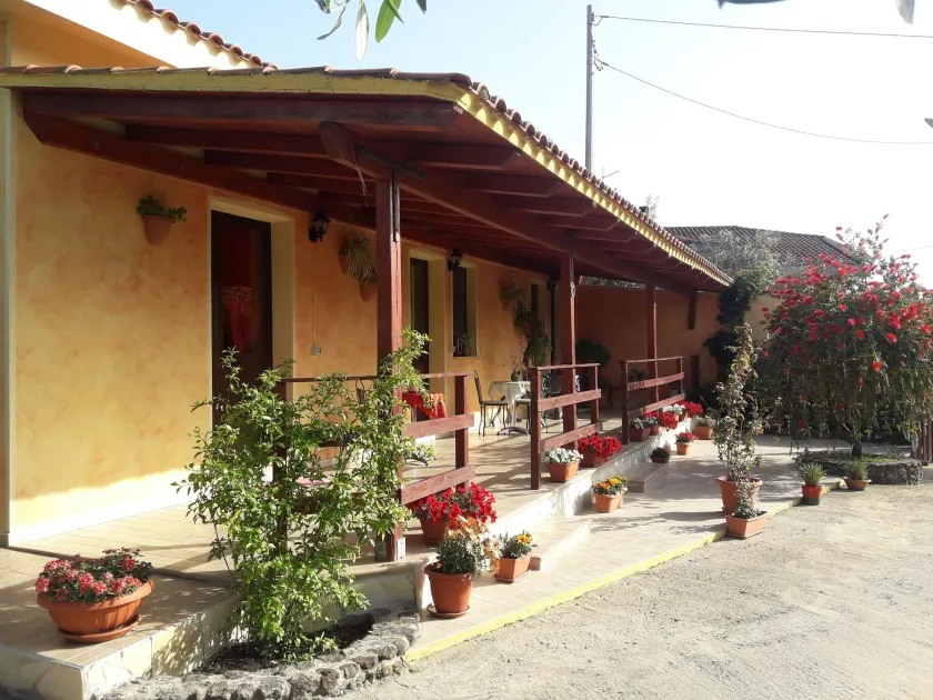 Domu de Palla - Image 1