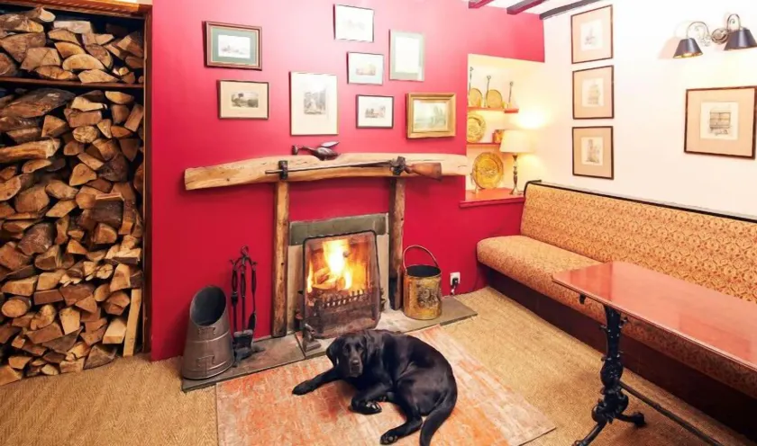 The Red Lion - Image 1