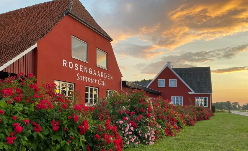Rosengaarden Hostel - Image 1