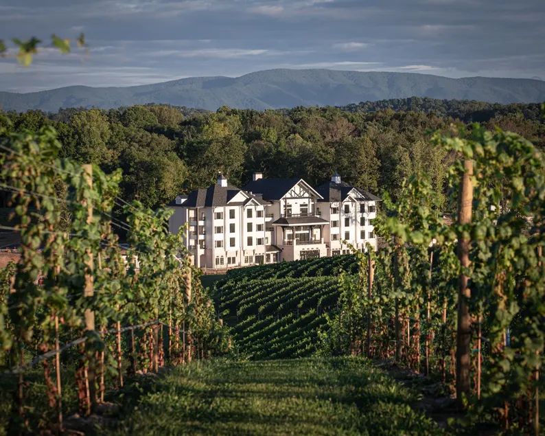 Nicewonder Farm & Vineyards - Image 1