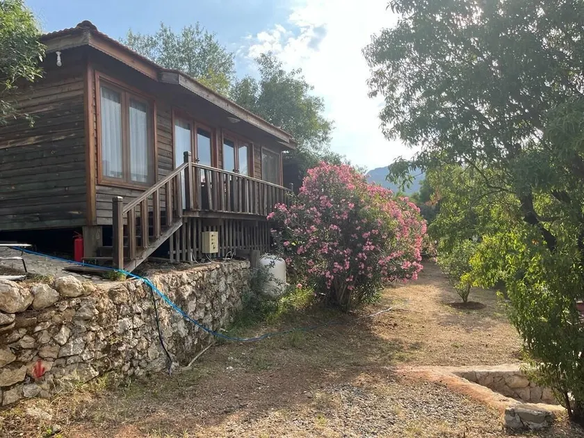 Palmira Selimiye - Room