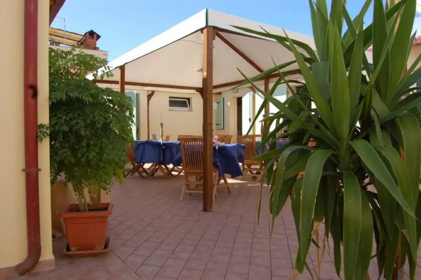 La Papaya - Image 1