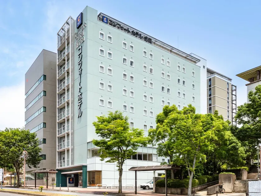 Comfort Hotel Narita - Image 1