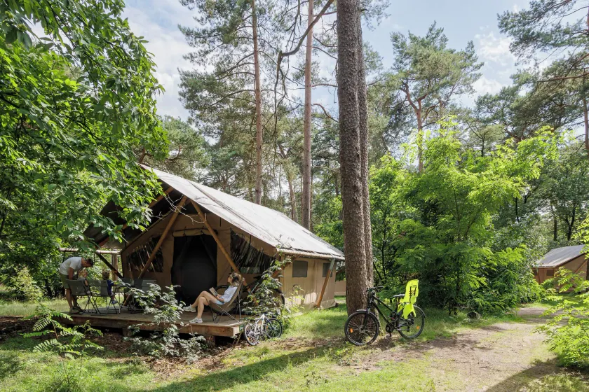 Huttopia De Veluwe  - Image 1