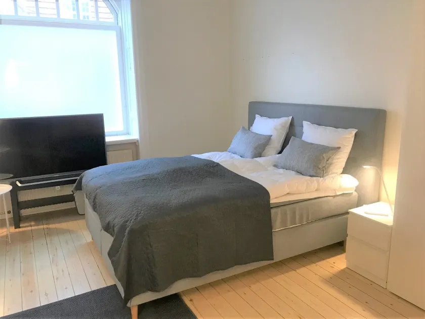 Small Cozy Apartment in Frederiksberg - Image 1