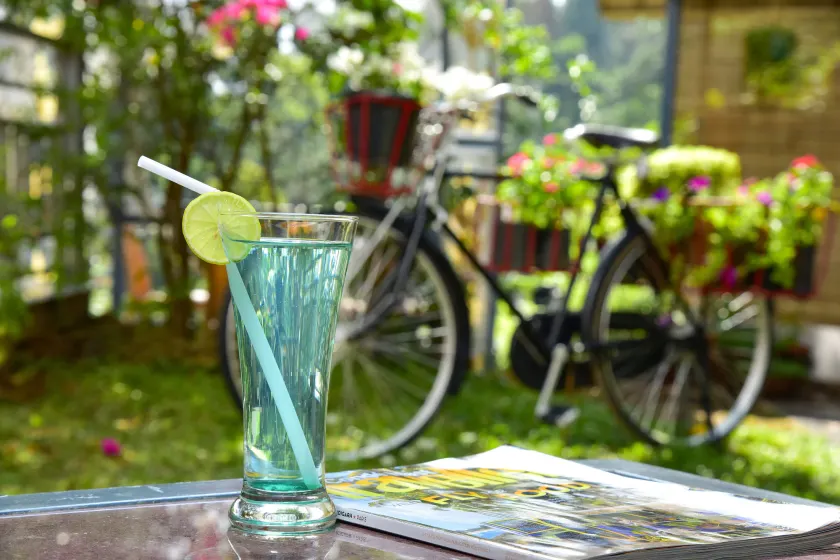 Mistletoe Munnar Homestay & Cafe - Image 1