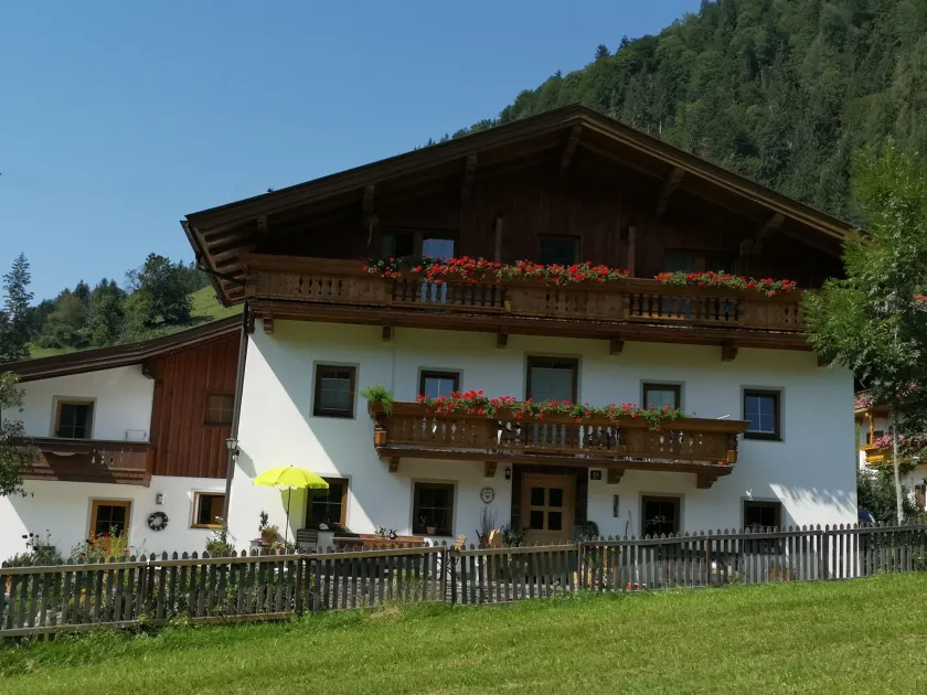 Haus Salvenmoser - Image 1