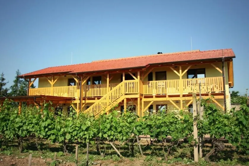 PENZION POD PALAVU - Image 1