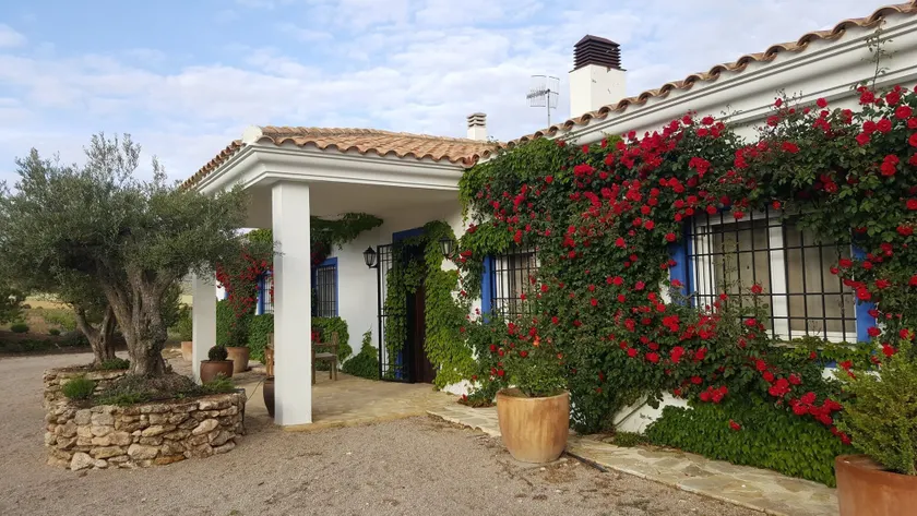 Finca El Romeral - Image 1