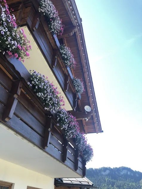 Hotel garni Oberdorfer Stuben - Image 1