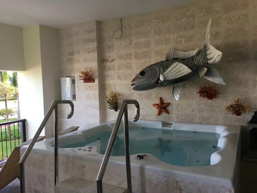 Luxury Cap Cana Apartment - Image 1