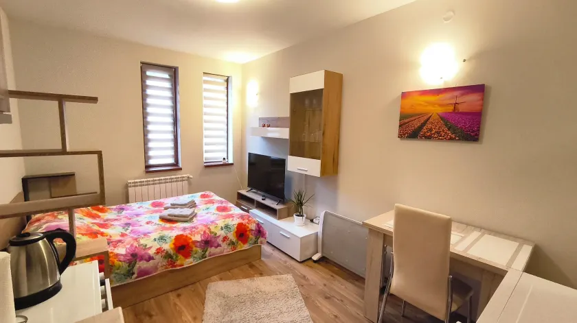 Tulip Studio Deluxe, Grand Resort Pamporovo - Image 1