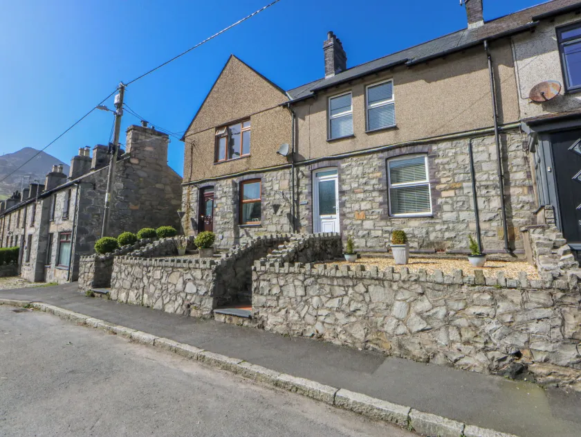 Bythynnod Newydd - Image 1