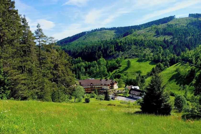 Tanne Tonbach - Wellness & Wohlfühl Hotel - Image 1
