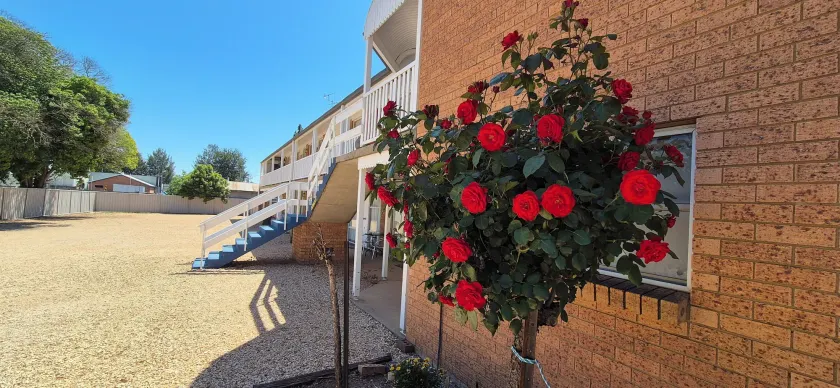 The Molong Motor Inn - Image 1
