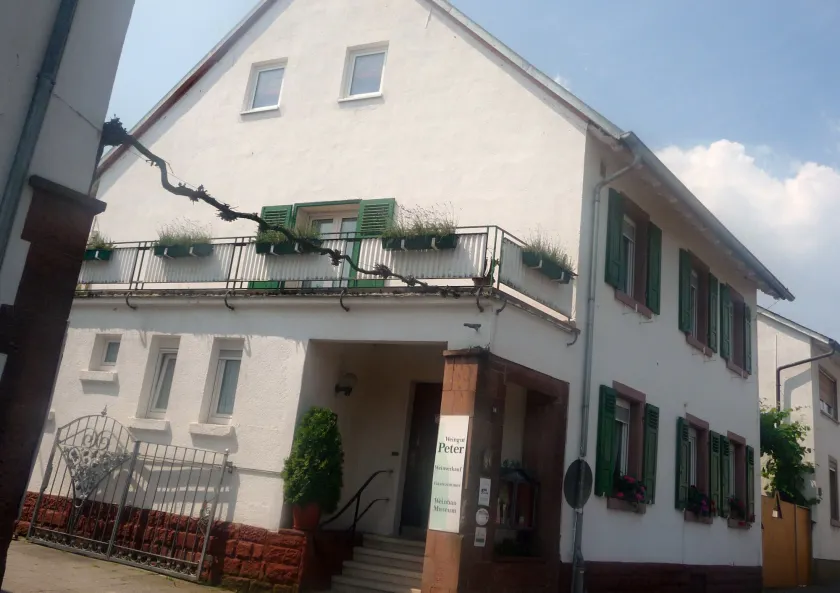 Gästezimmer / Weingut Peter - Image 1