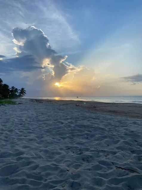 Coccoloba Beach Hotel - Image 1