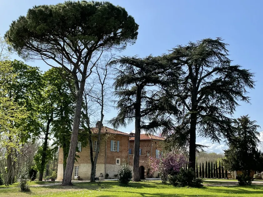CHATEAU DU GO - Image 1