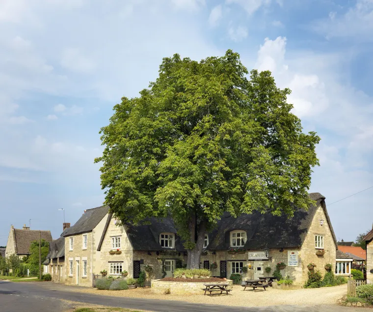 The Crown Inn - Image 1