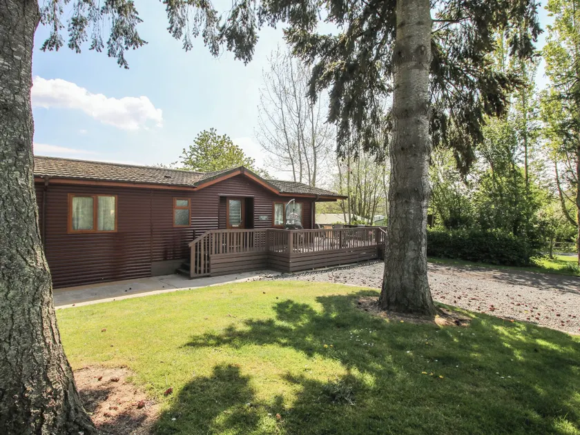 Foxglove - Image 1
